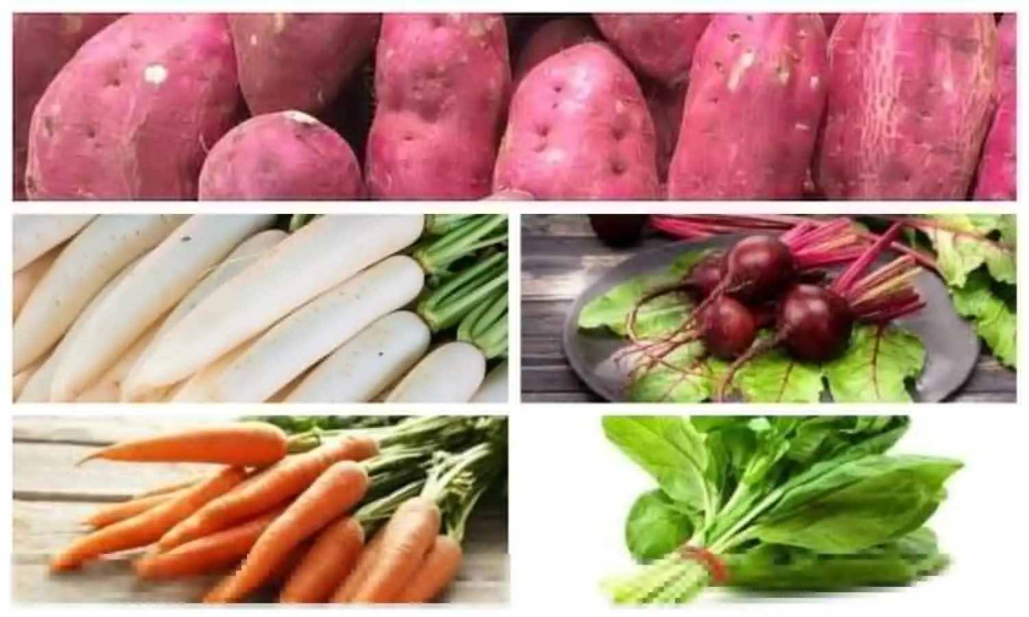 Winter Vegetable List