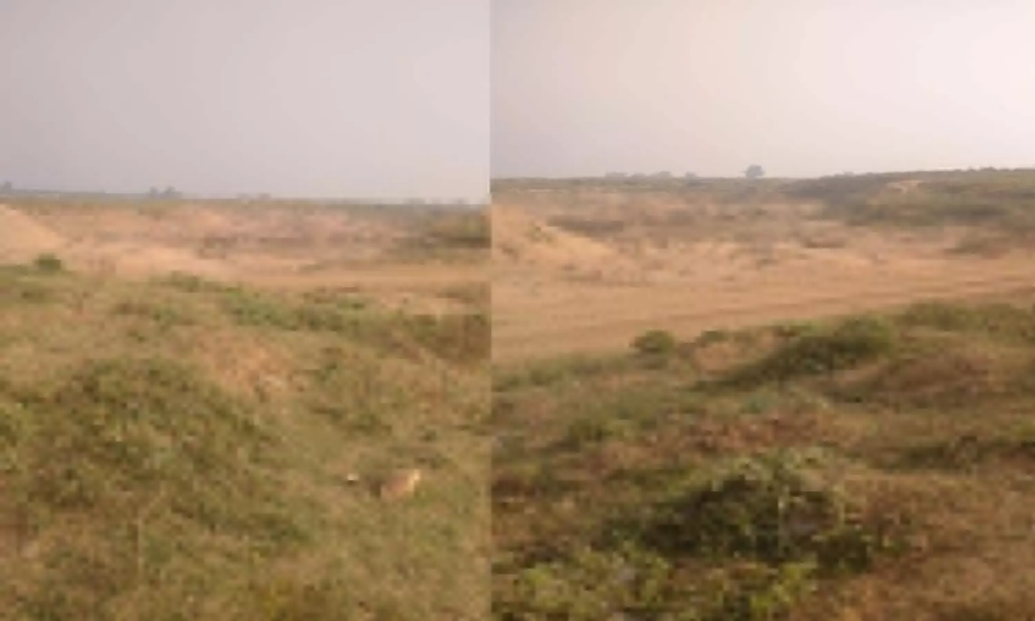 In the tender regarding Sonbhadra mining, the mining department showed sand at the clay place