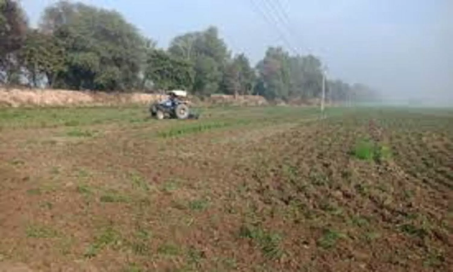 Force to write eight acres of land in MP