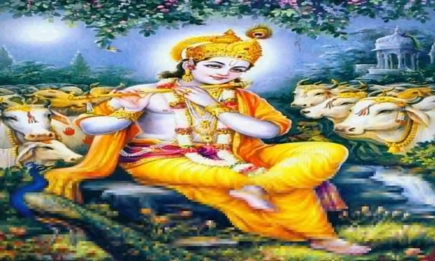 Unknown Facts About Lord Shri Krishna