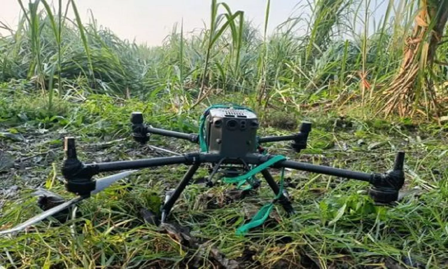 Pakistani drone shot down by BSF in Firozpur