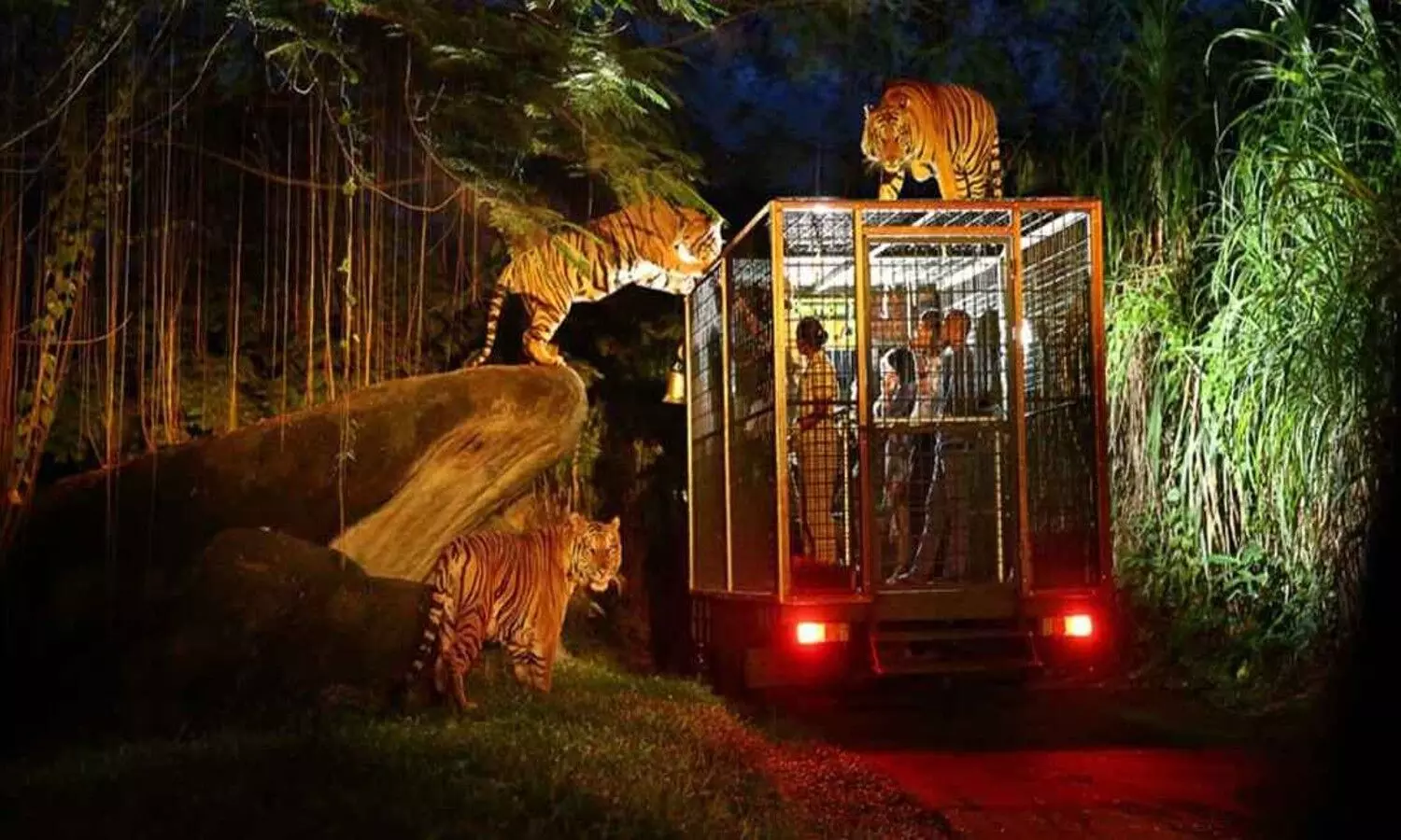 first night safari park in Lucknow