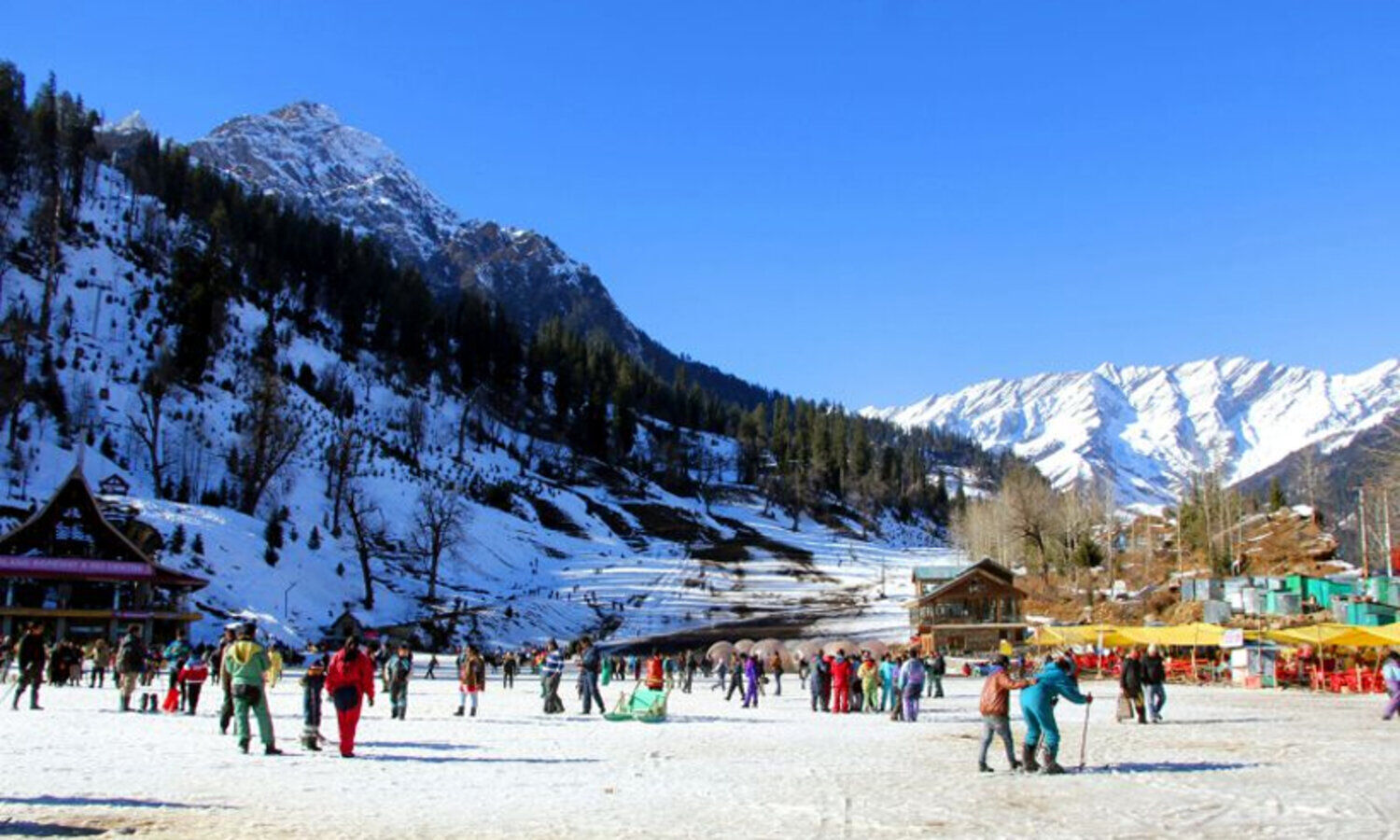 Holi 2024 Tourism Manali Full Of Tourists 