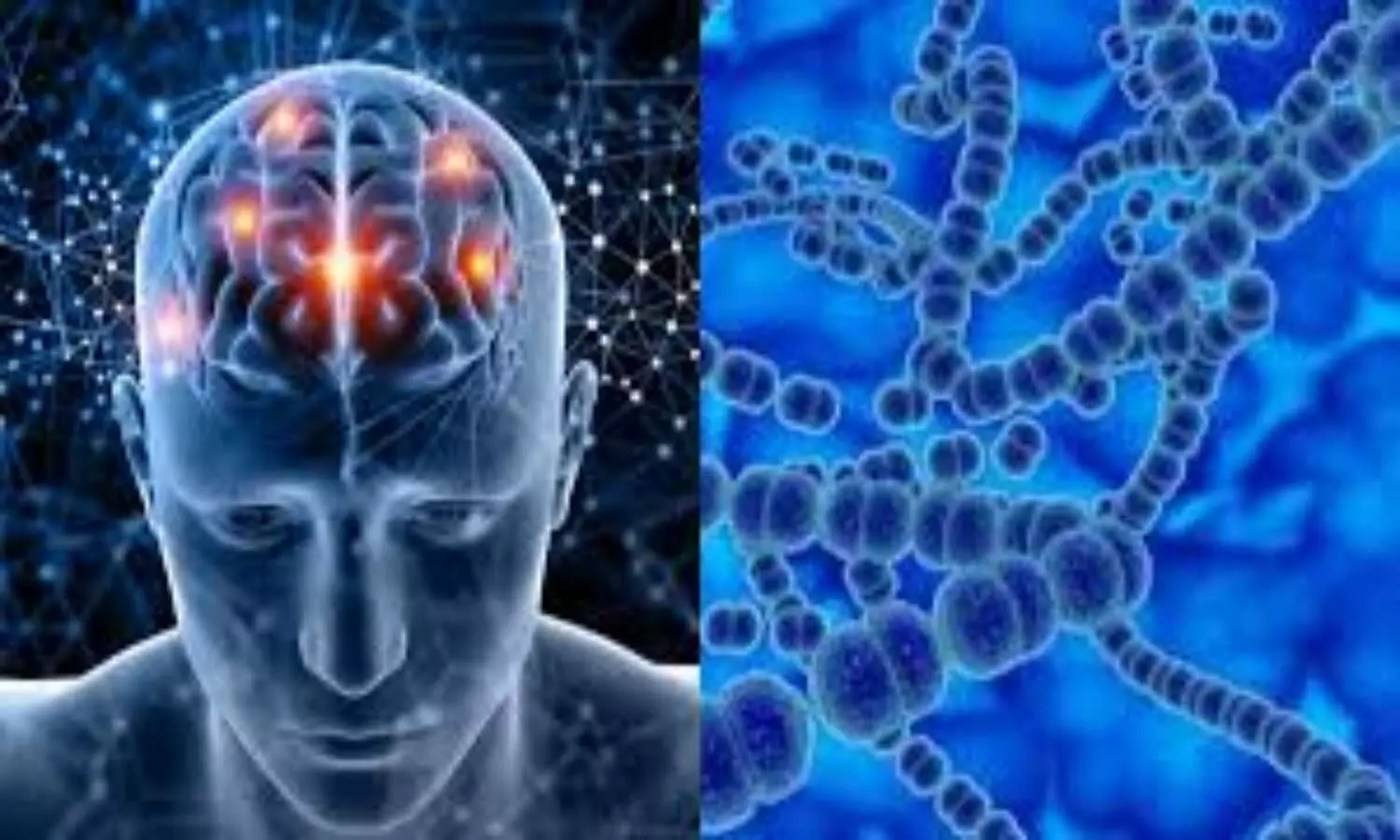 Brain Eating Virus Amoeba symptoms