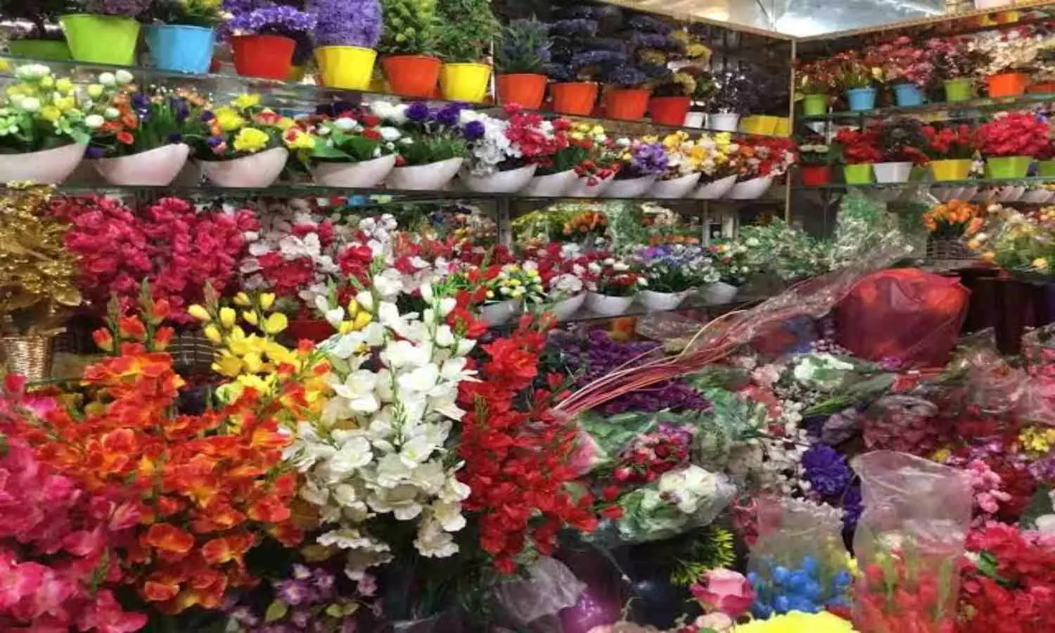 Best Flower Shops in Lucknow