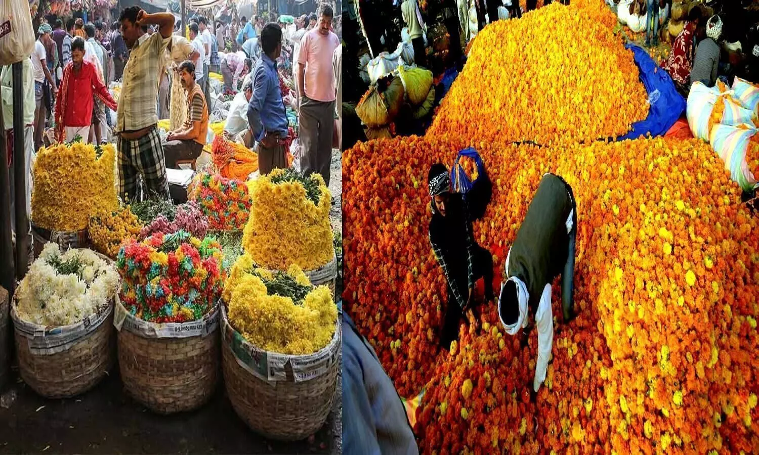 phool wali gali lucknow