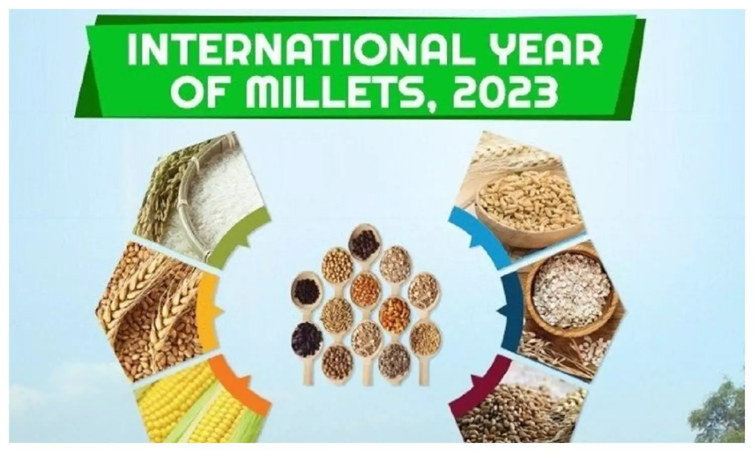 International Millet Year 2023