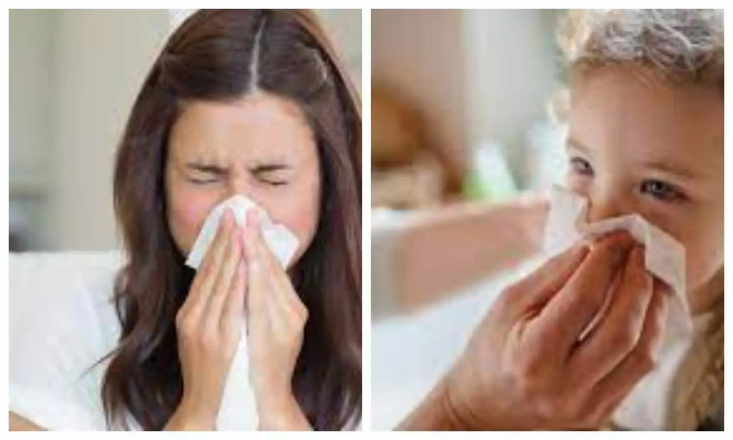 Difference between common cold and chest infection