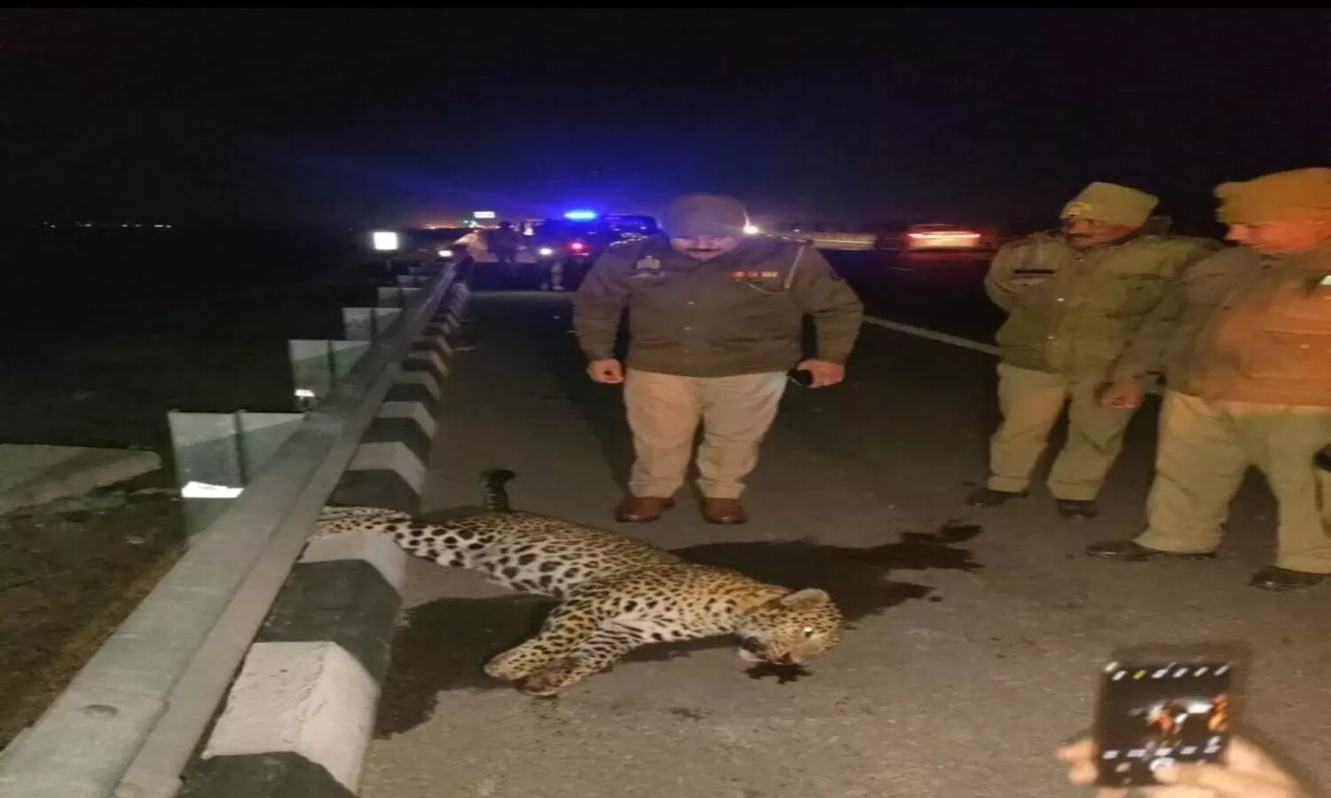 Meerut Delhi Expressway Leopard body found