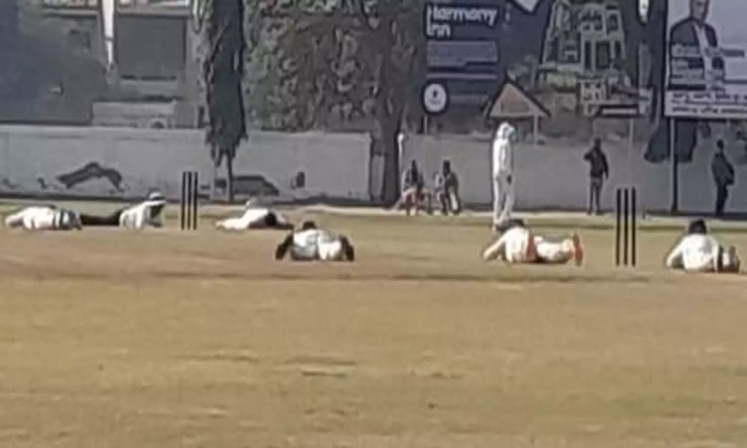 Bees attack during Ranji match at Bhamashah Park in Meerut, chaos created