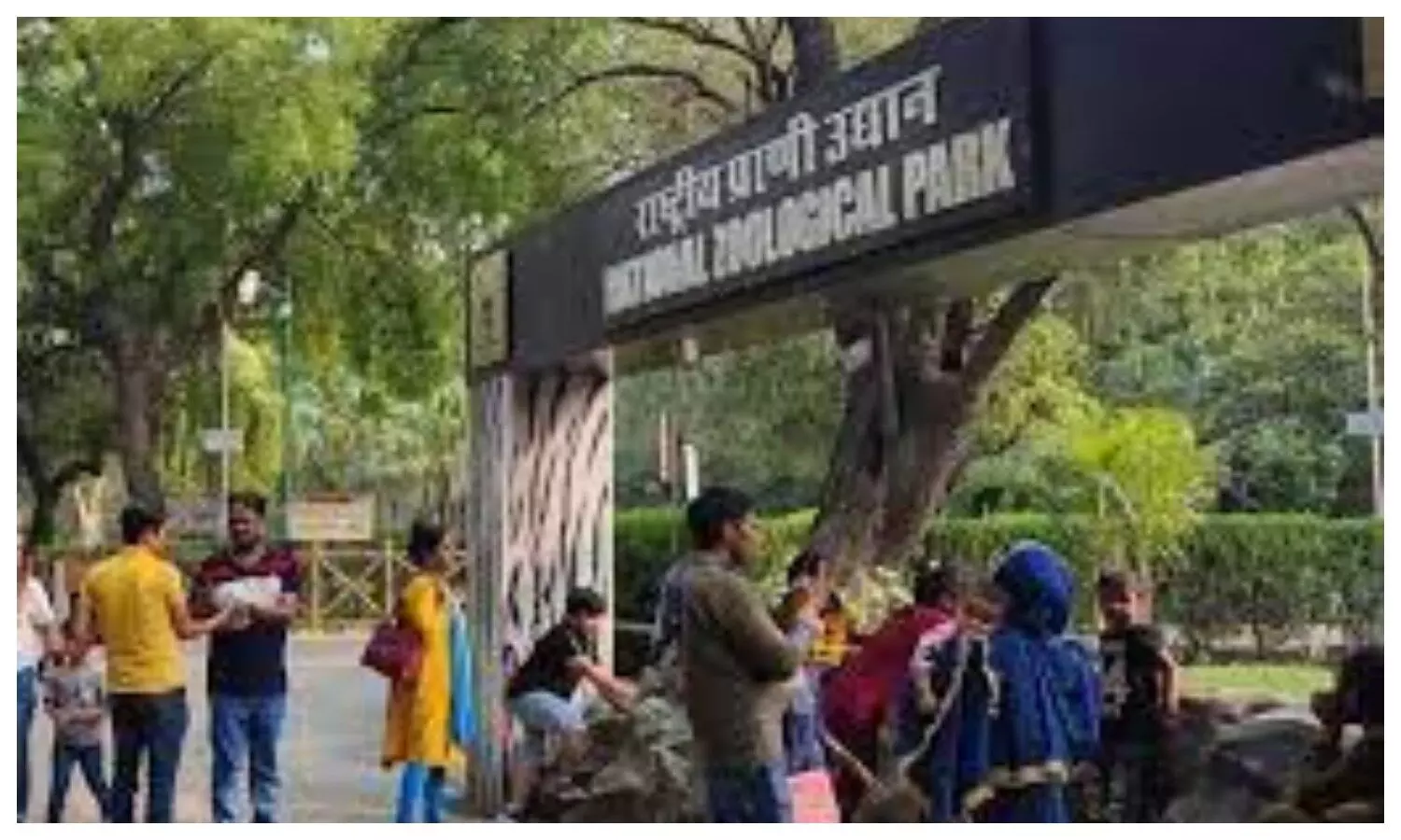 Tree Stolen From Delhi Zoo