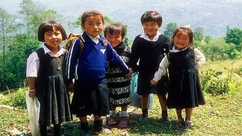 Fertility rate in sikkim