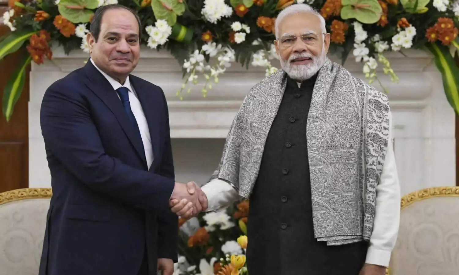 Deep friendship with India is necessary for Egypt