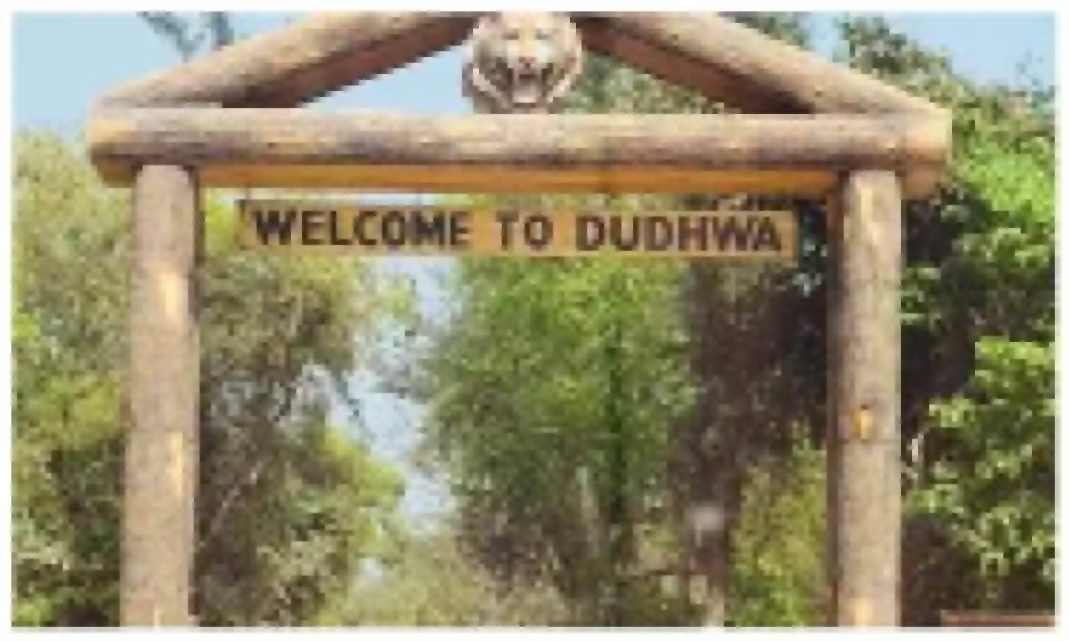 Dudhwa National Park in Lakhimpur Kheri
