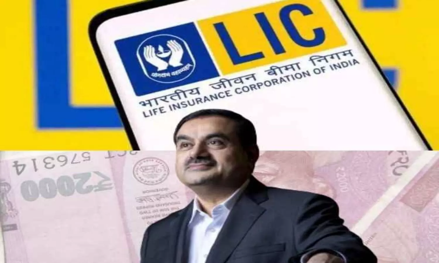 LIC stake in Adani Companies
