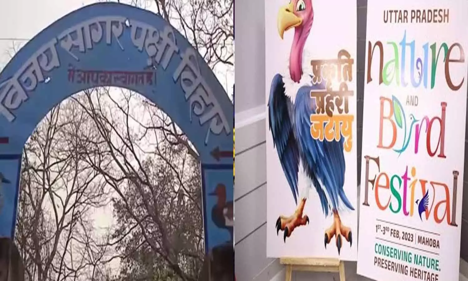 Bird and Nature Festival begins at Vijay Sagar Bird Sanctuary in Mahoba
