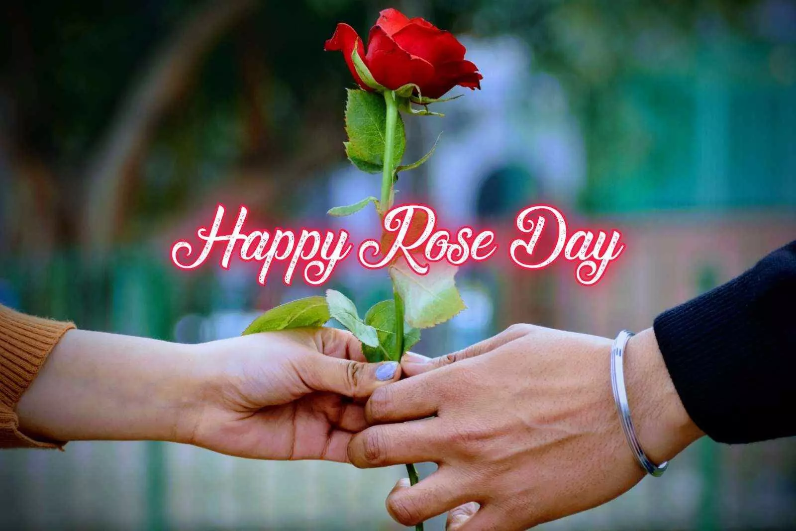 Happy Rose Day 2023