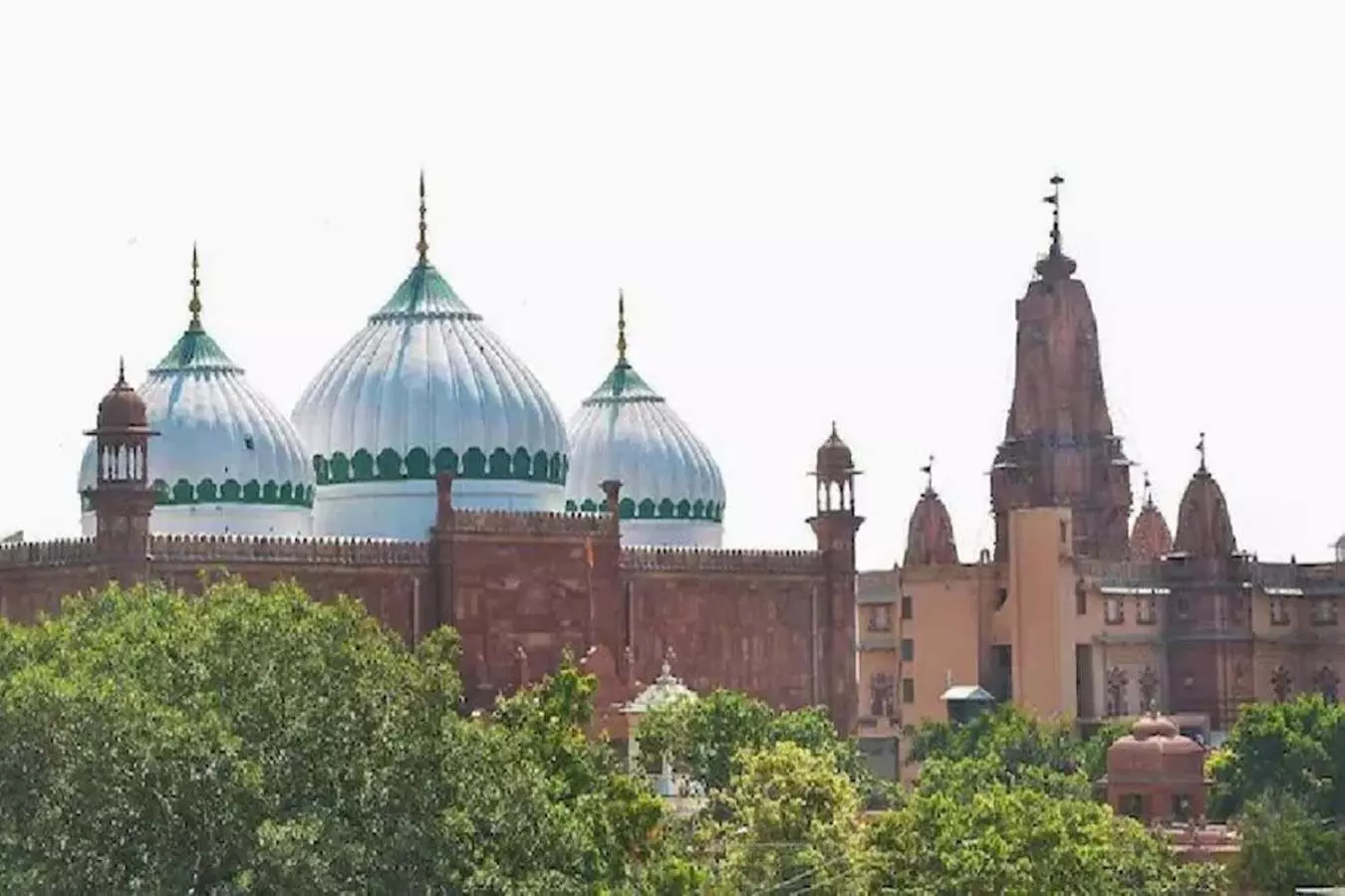 Shahi Eidgah Mosque Survey