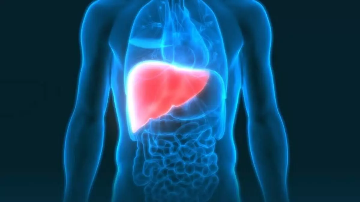 Symptoms of non alcoholic fatty liver disease