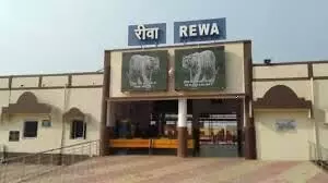 Rewa News
