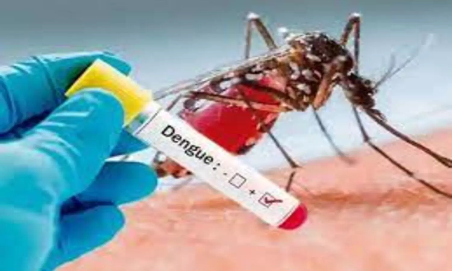 Lucknow Dengue Cases