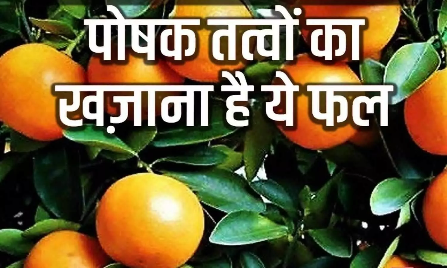 Benefits of Orange Fruit