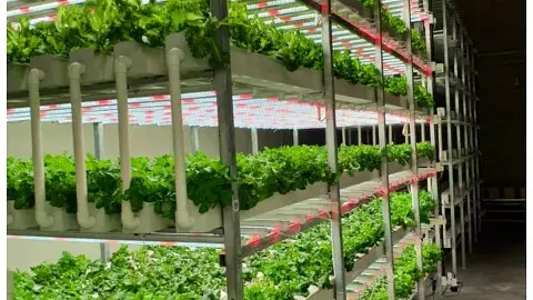 Vertical Farming