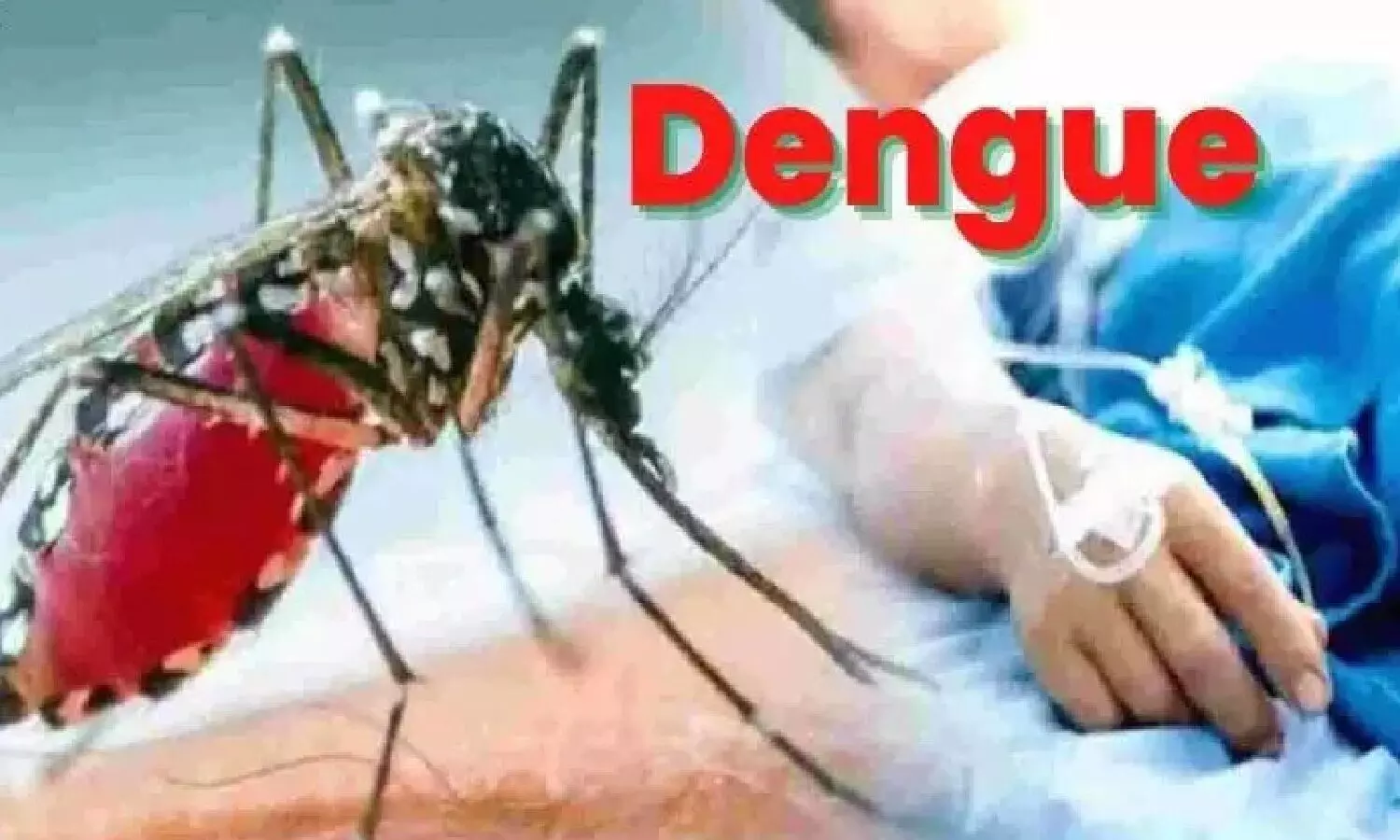 Dengue cases in Lucknow