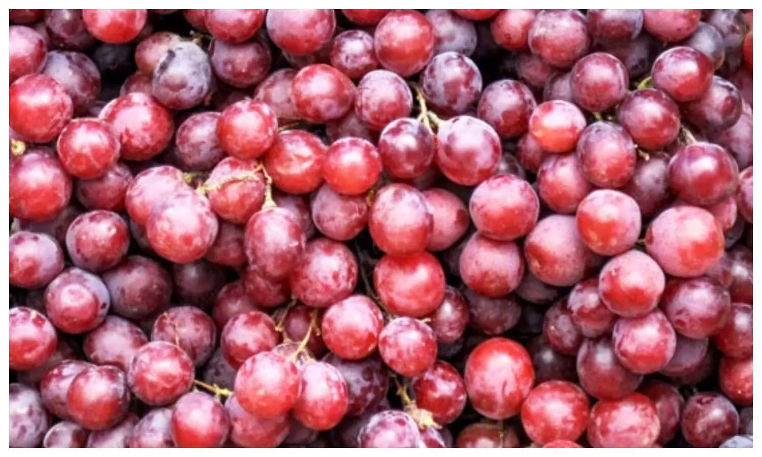 Red Grapes Benefits