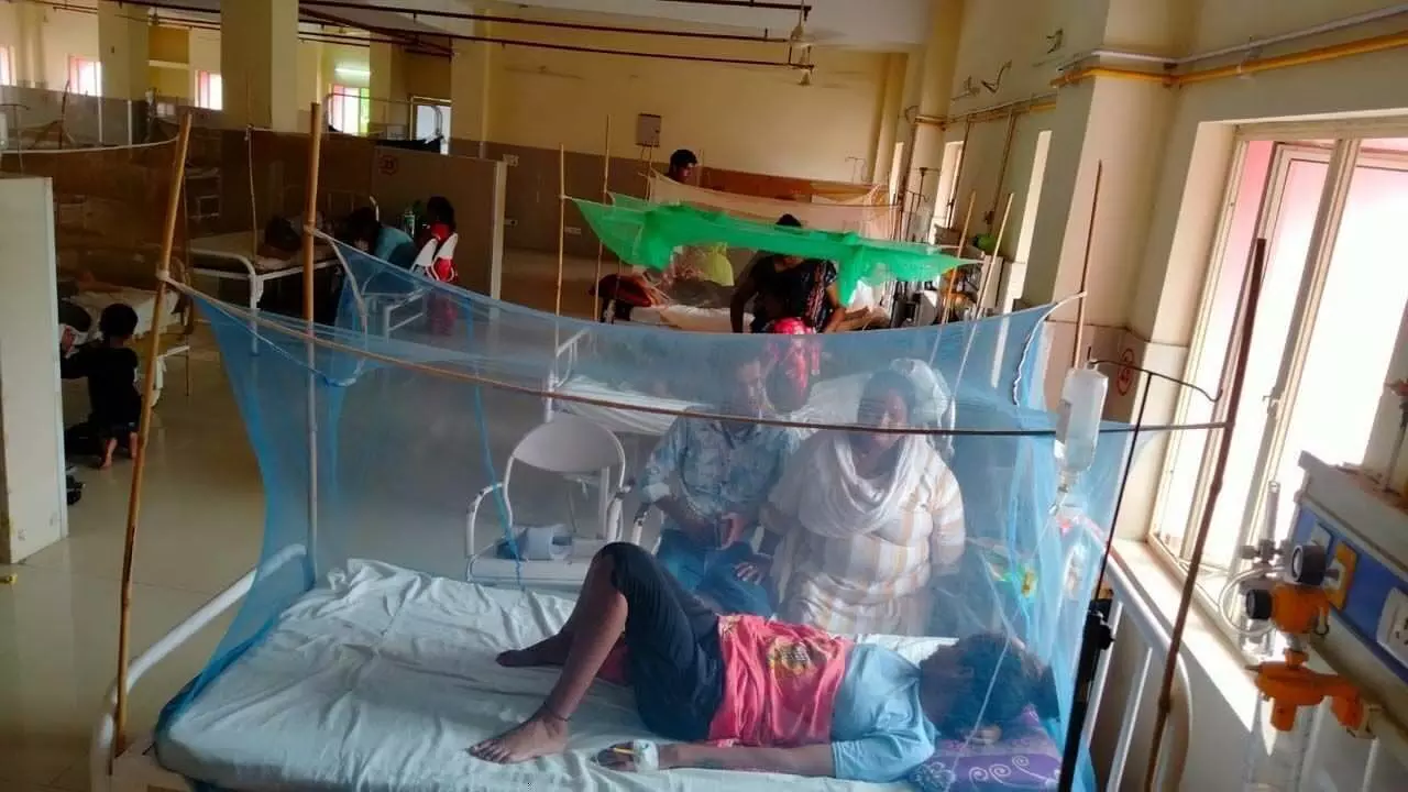 Kanpur News: हाईग्रेड फीवर से अस्पताल में बढ़े मरीज, डेढ़ हफ्ते में 134 डेंगू, 16 मलेरिया व 18 चिकनगुनिया संक्रमित मिले