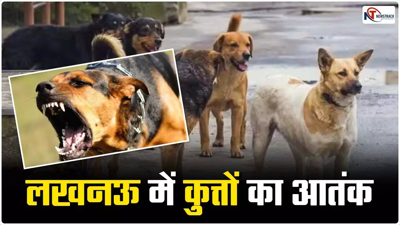 Dog Attack In Lucknow