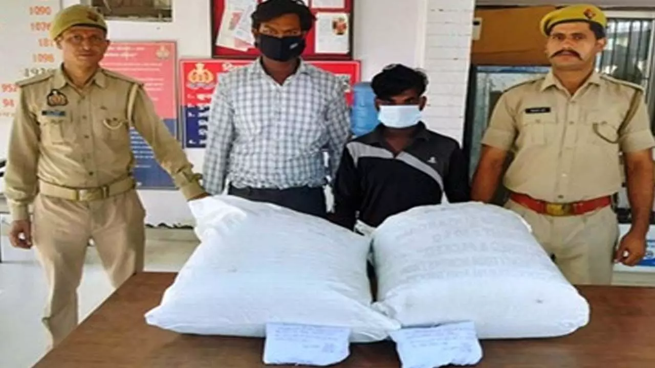 Major action against drugs, 12 kg gram of doda poppy recovered, two accused arrested