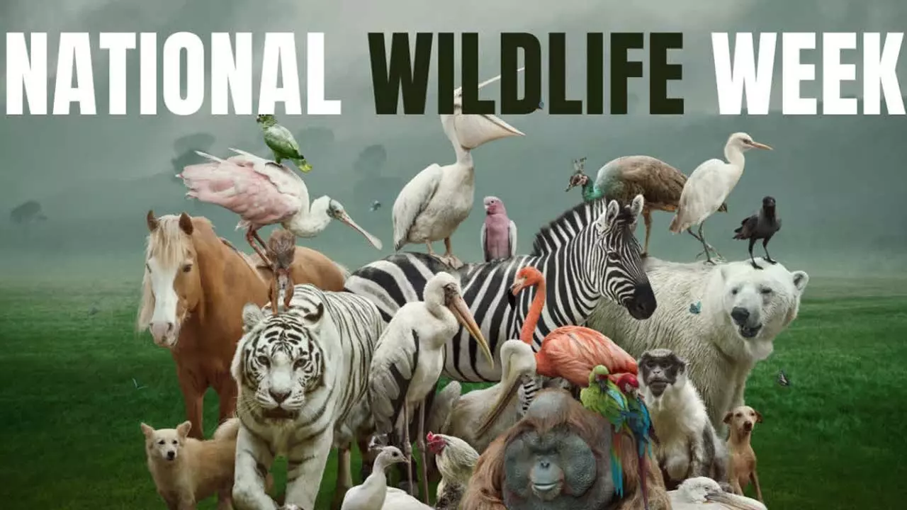 National Wildlife Week being celebrated with the theme Partnership for Wildlife Conservation