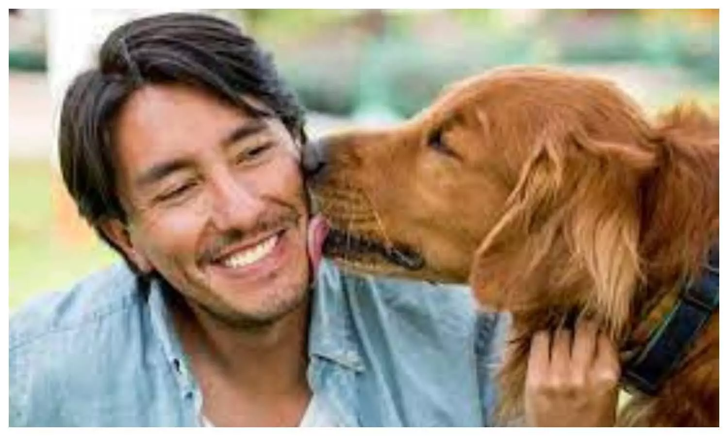 Pet Dog Benefits