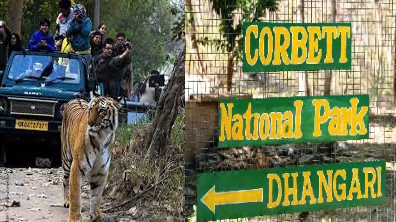 Nature lovers, get ready, some zones of Jim Corbett National Park are opening from October 15