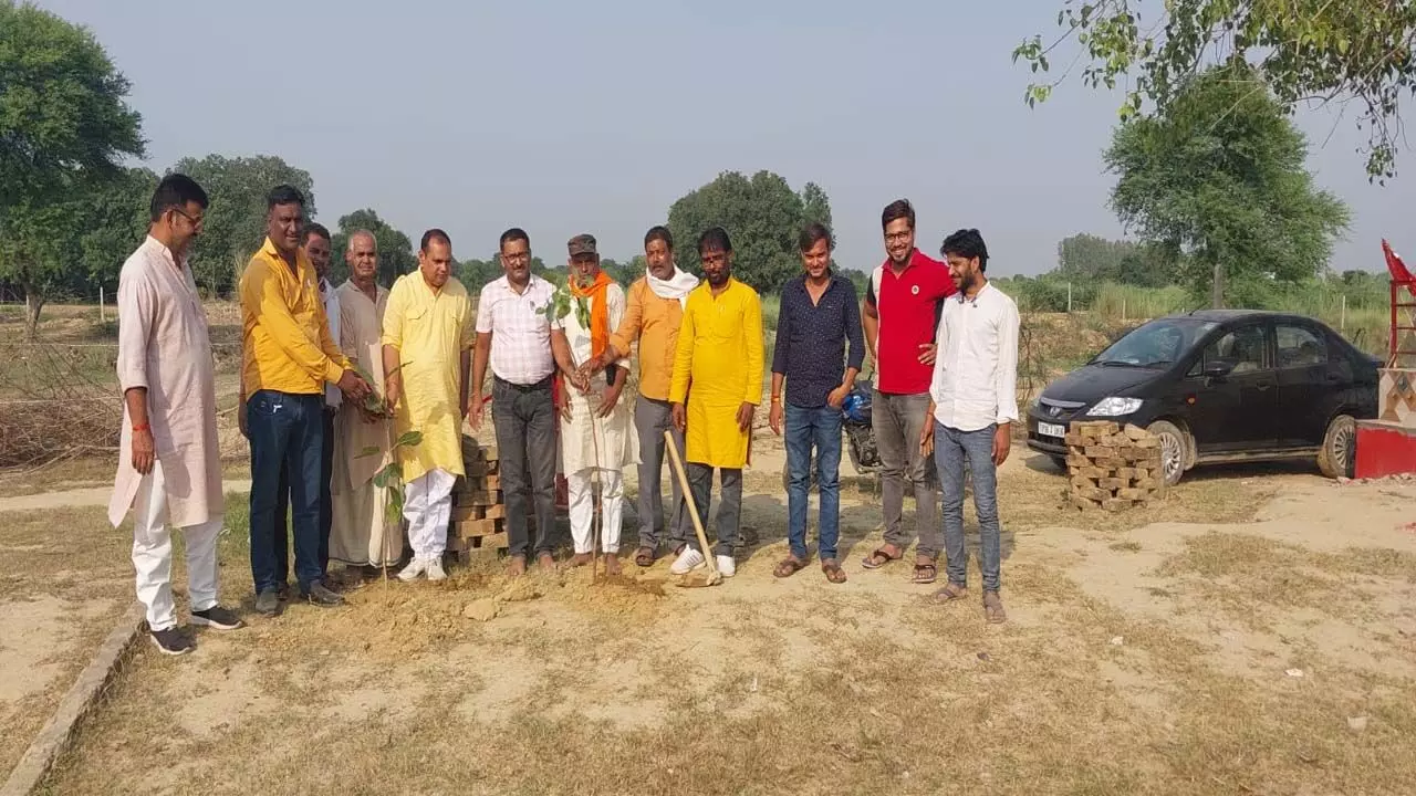 Pratapgarh News: सहकार भारती ने नवरात्रि के पावन अवसर पर किया हरिशंकरी पौधरोपण, संरक्षण की भी हुई विशेष व्यवस्था