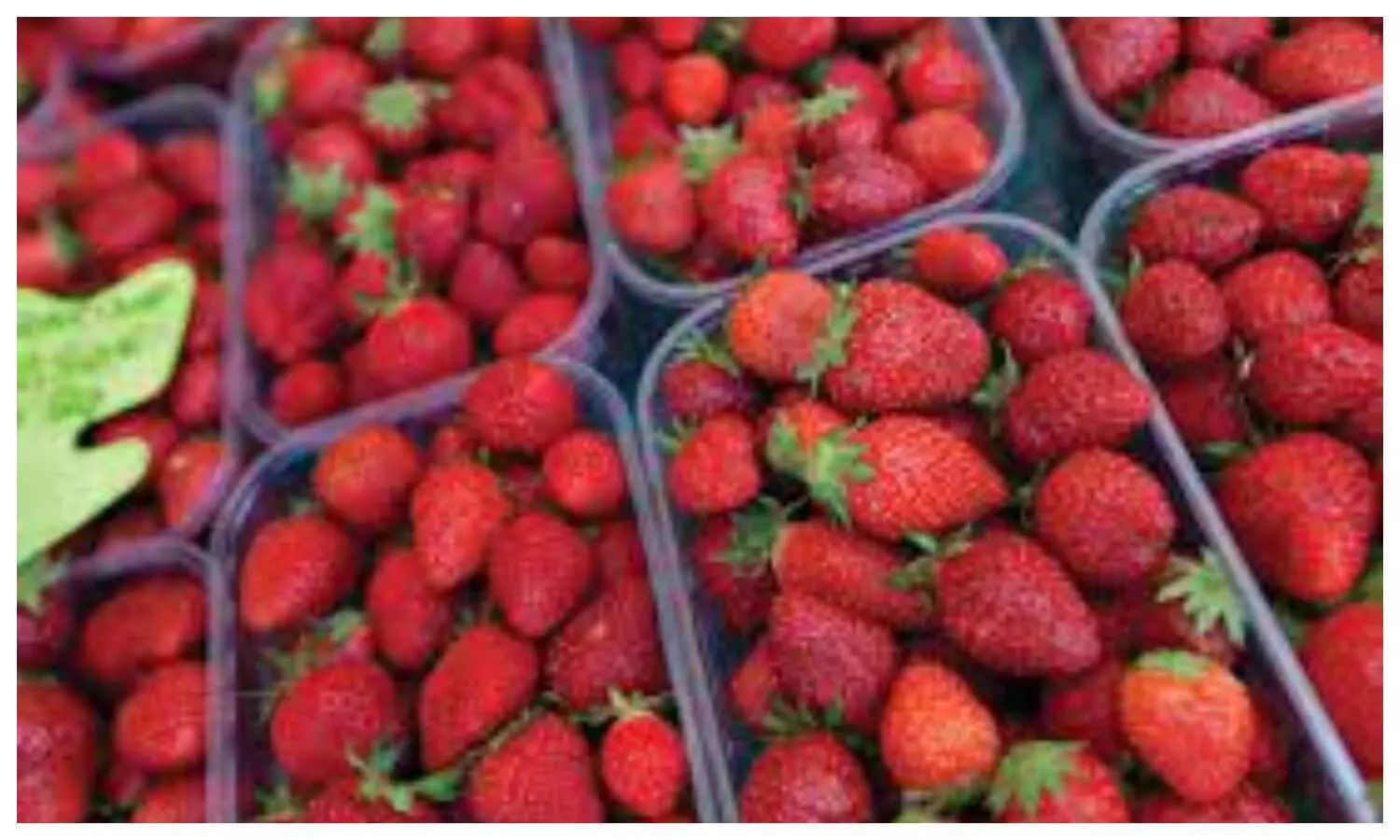Strawberry benefits