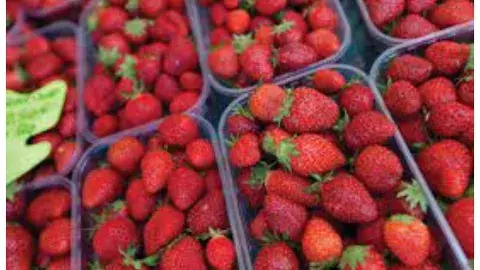 Strawberry benefits