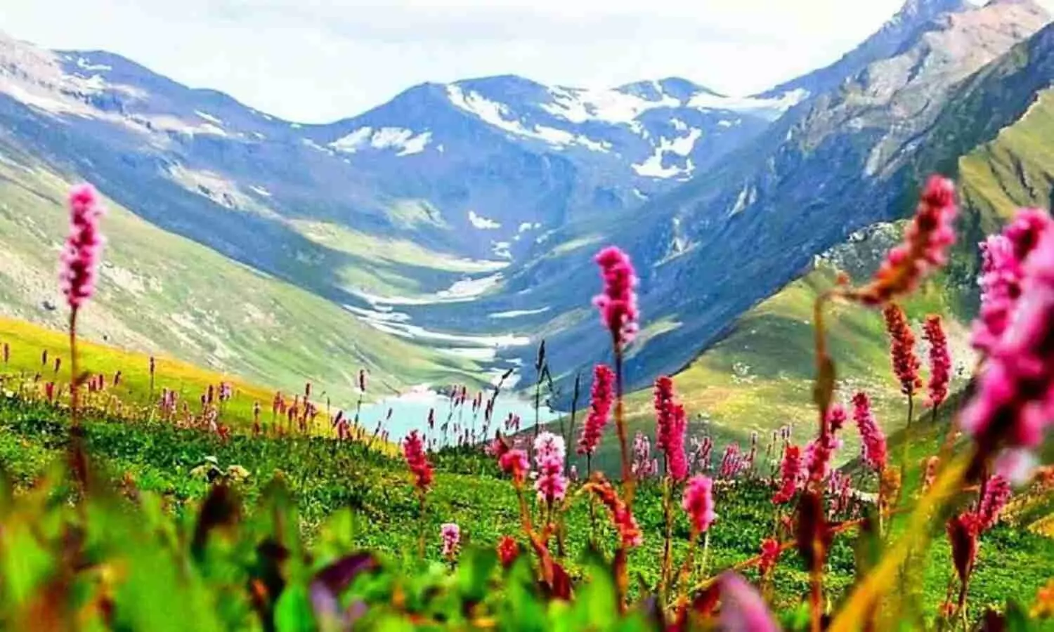Uttarakhand Valley of Flowers