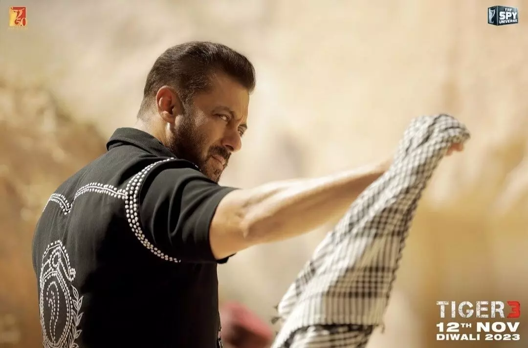 Salman Khan Tiger 3