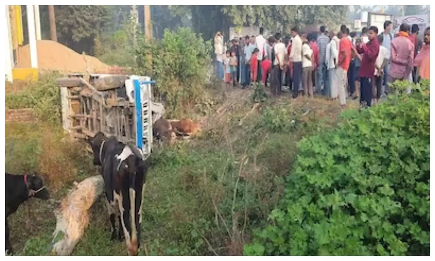 Road Accident In Bihar