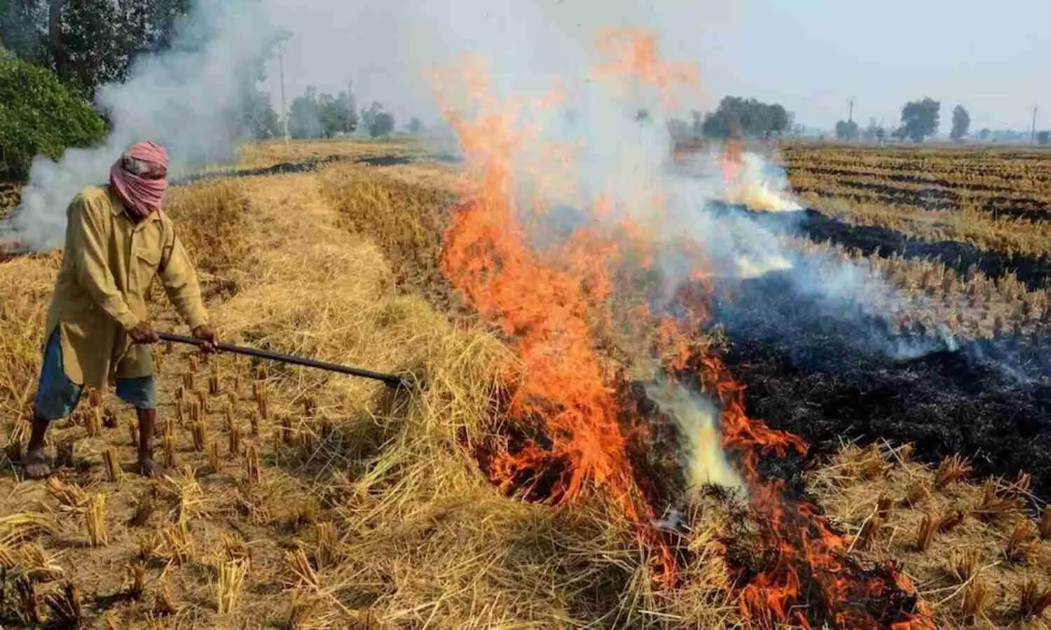 Punjab stubble burning pollution