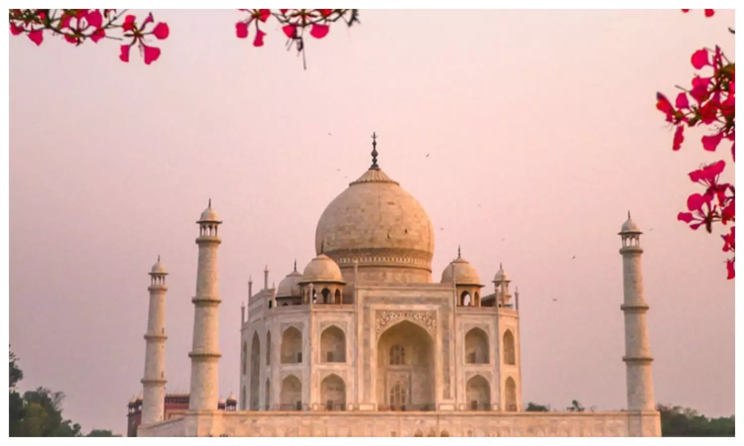 PIL on Taj Mahal