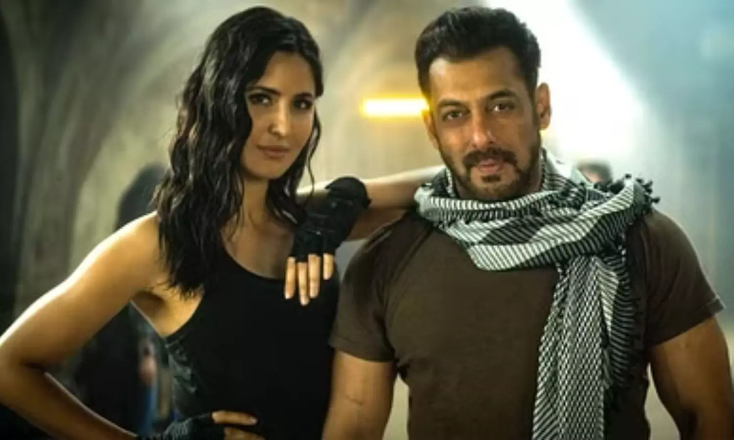 Salman Khan Tiger 3 Movie