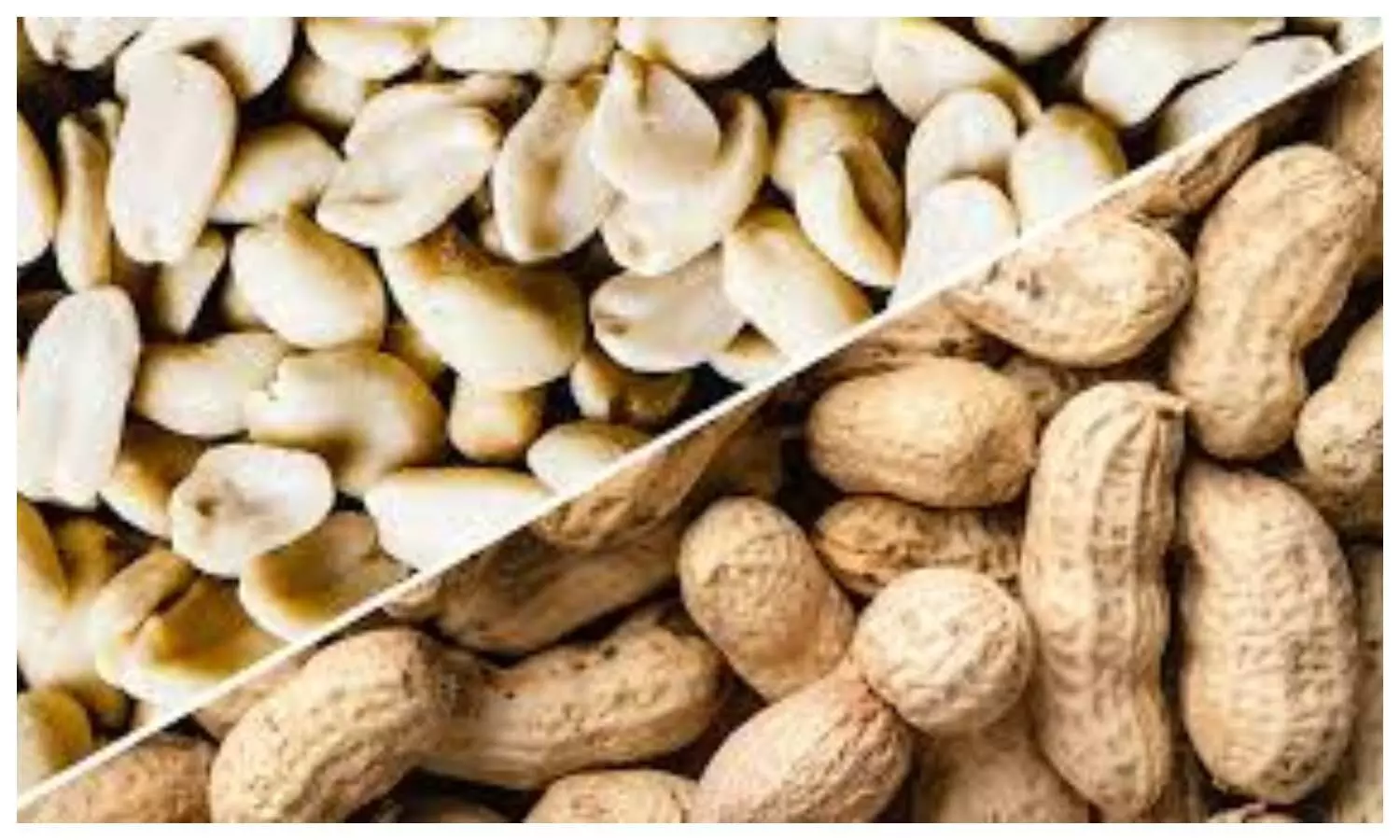 Peanut Benefits