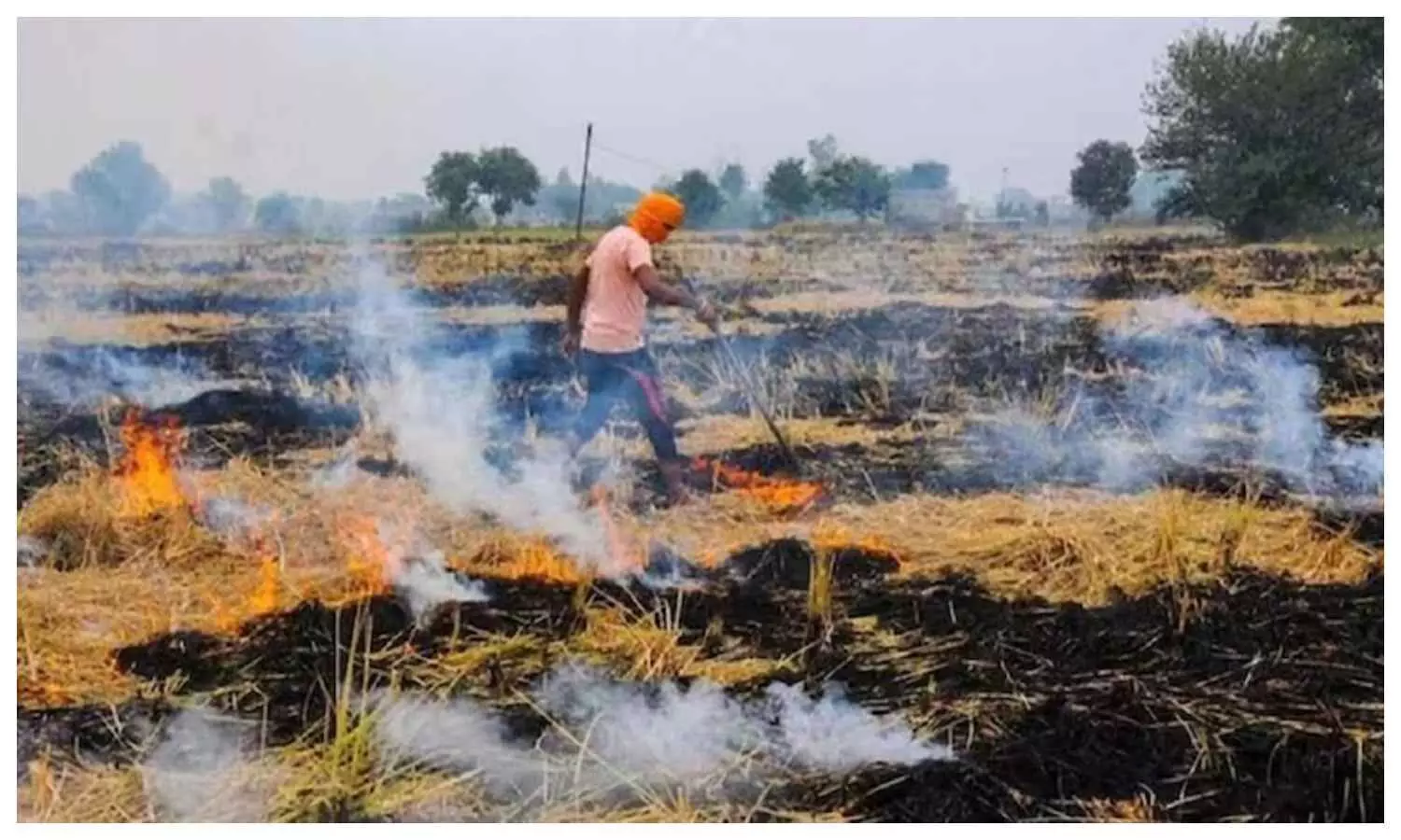 Recovery will be made under environmental compensation on burning of stubble