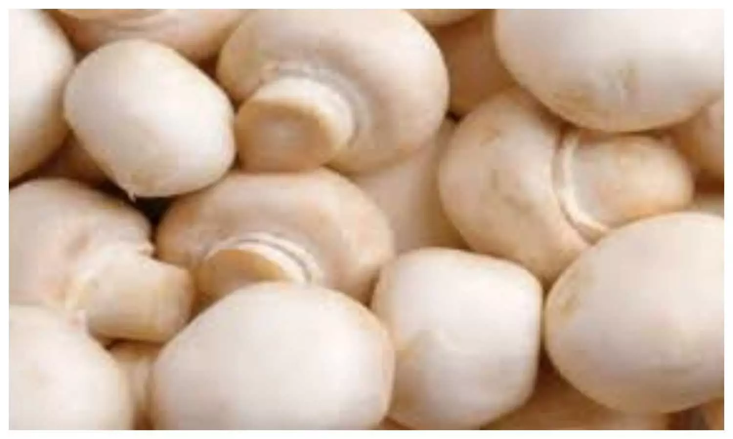 Mushroom Benefits In Winter