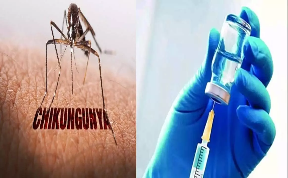 Chikungunya cases increased rapidly across the world, meanwhile the vaccine got approval