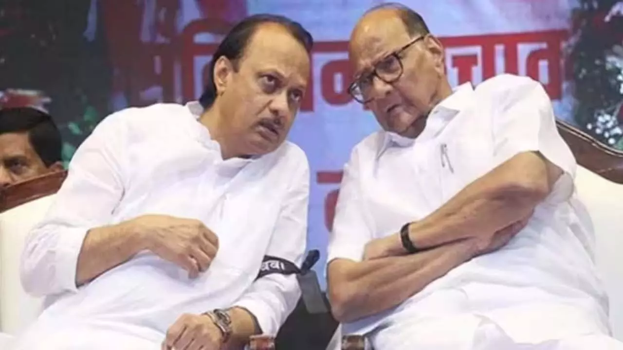 What is the secret of the meetings between Sharad Pawar and Ajit Pawar