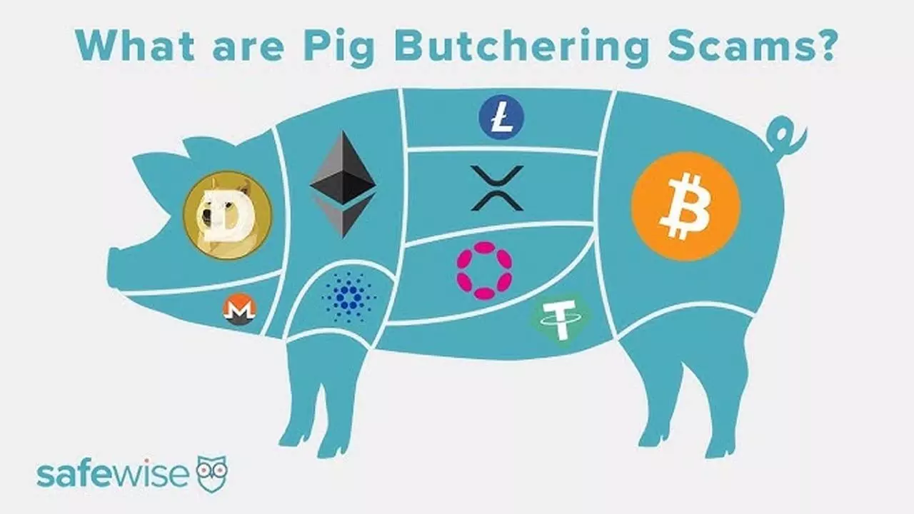 Beware of Pig Butchering Scam